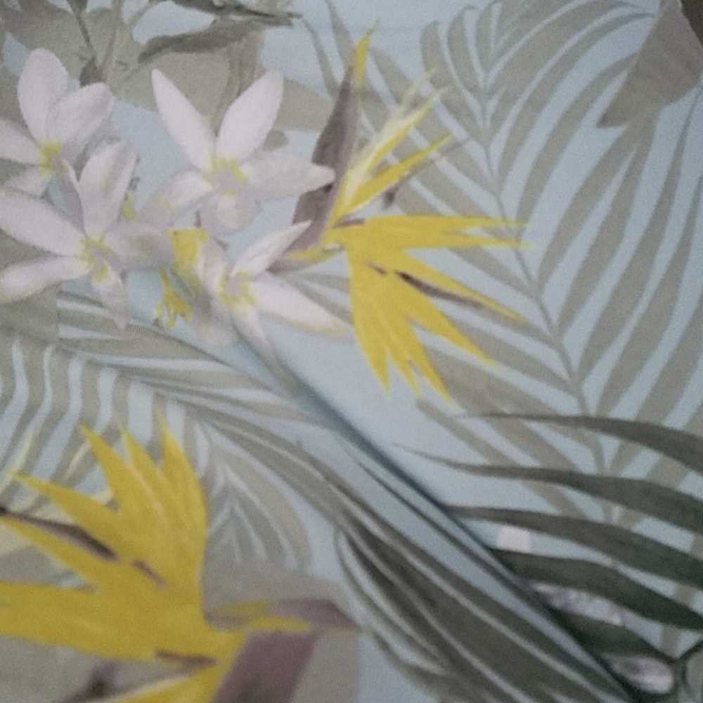 Meet your Posher, Dani